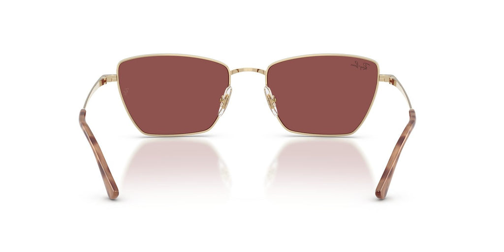 Ray-Ban | 0RB3783
