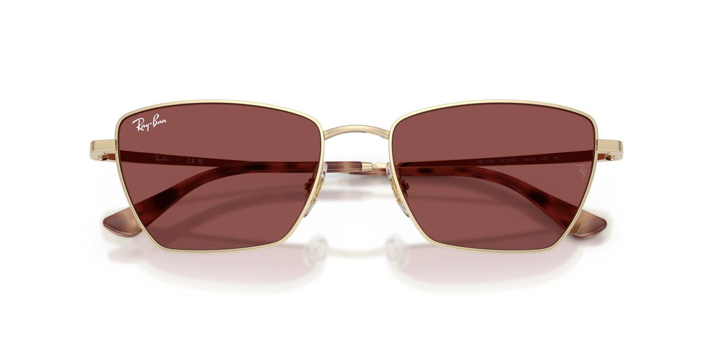 Ray-Ban | 0RB3783