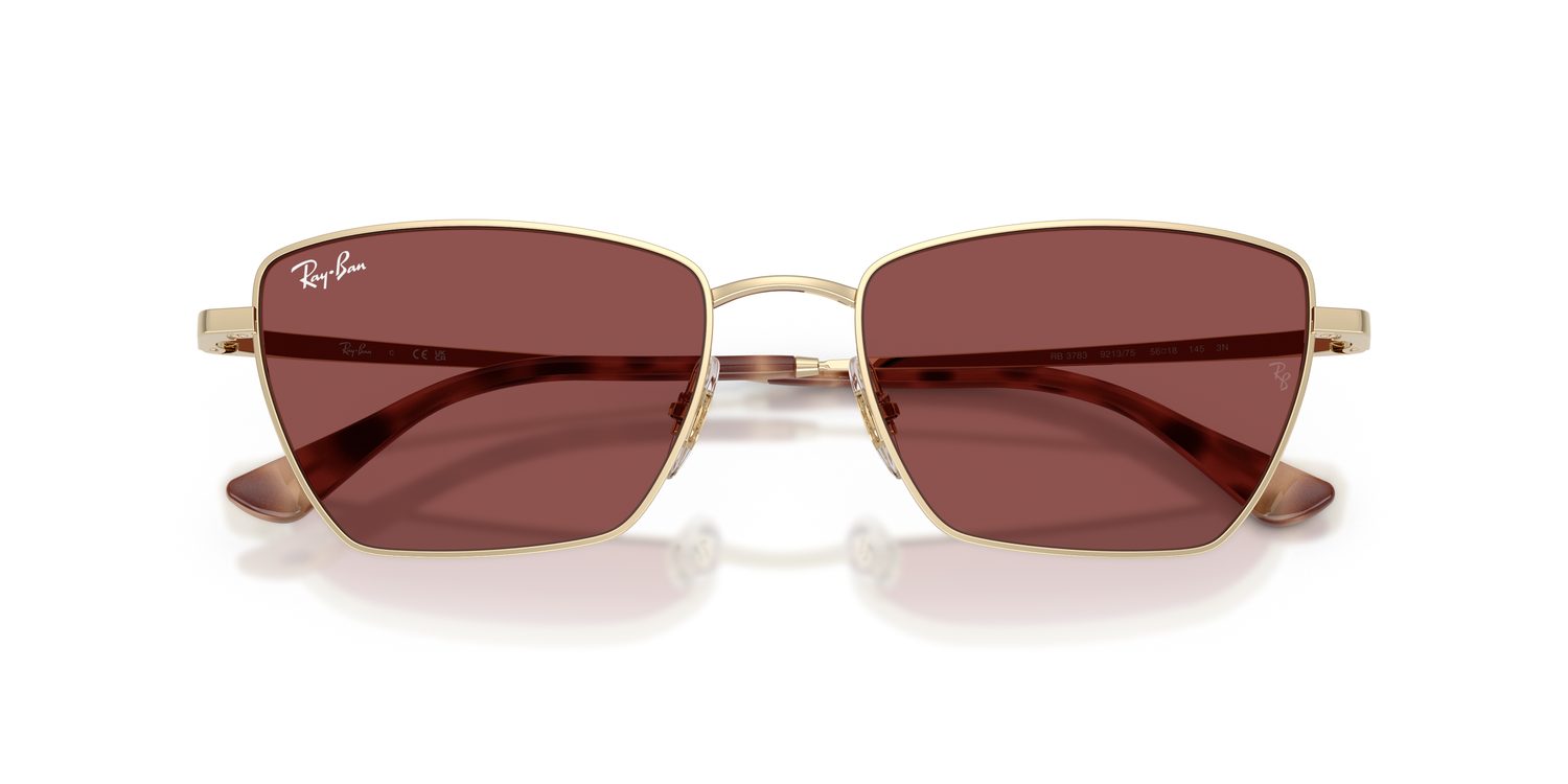 Ray-Ban | 0RB3783