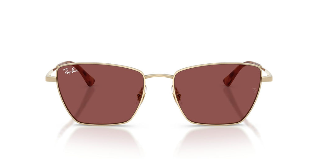 Ray-Ban | 0RB3783