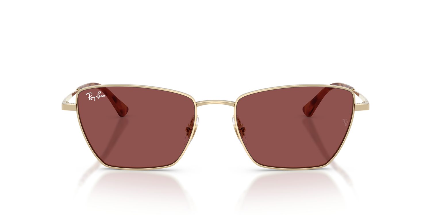 Ray-Ban | 0RB3783