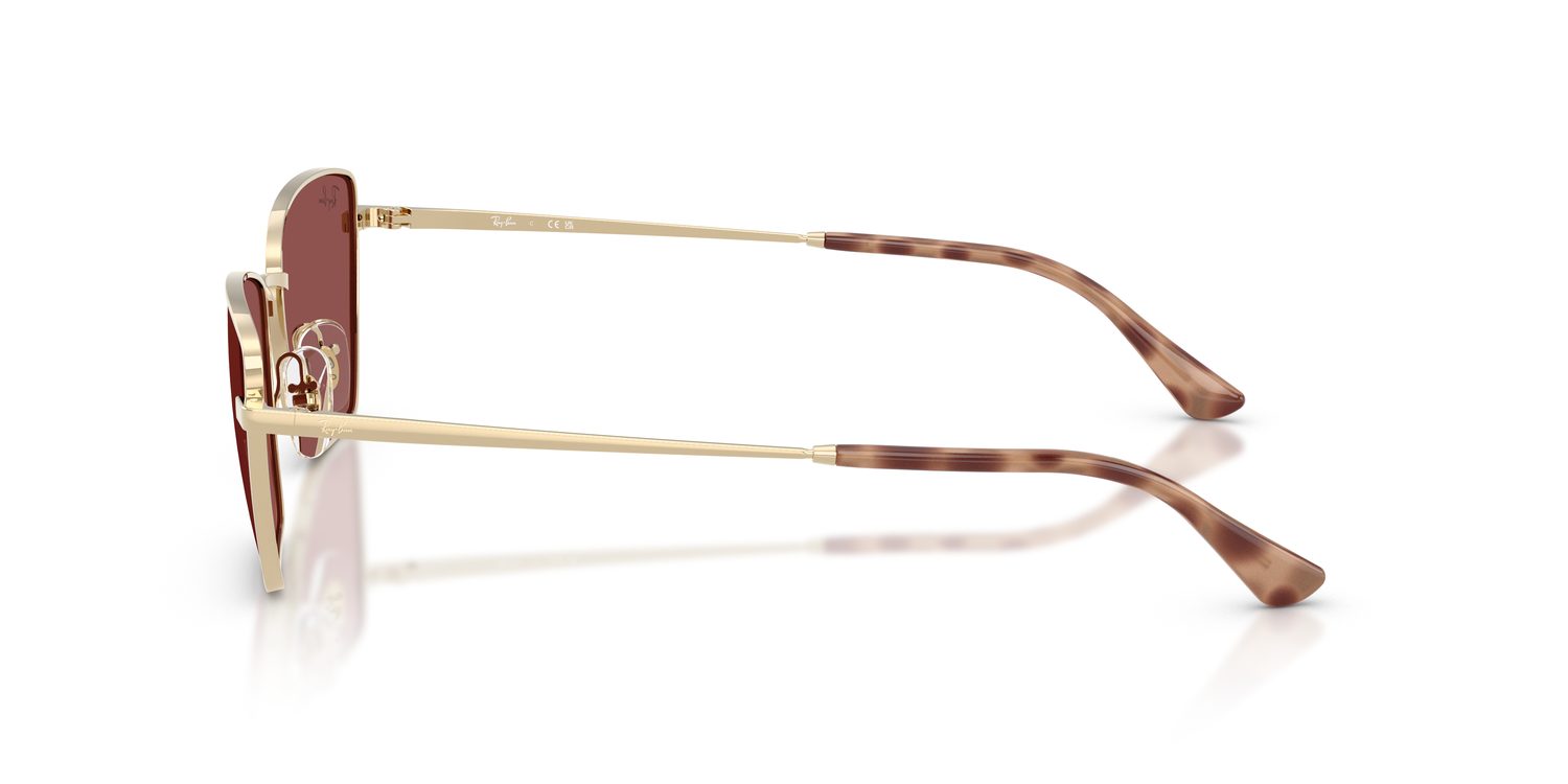 Ray-Ban | 0RB3783
