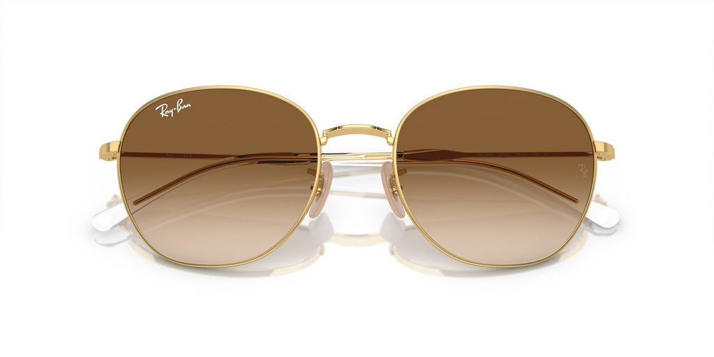 Ray-Ban | 0RB3809