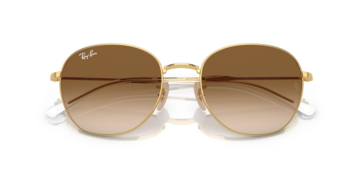 Ray-Ban | 0RB3809