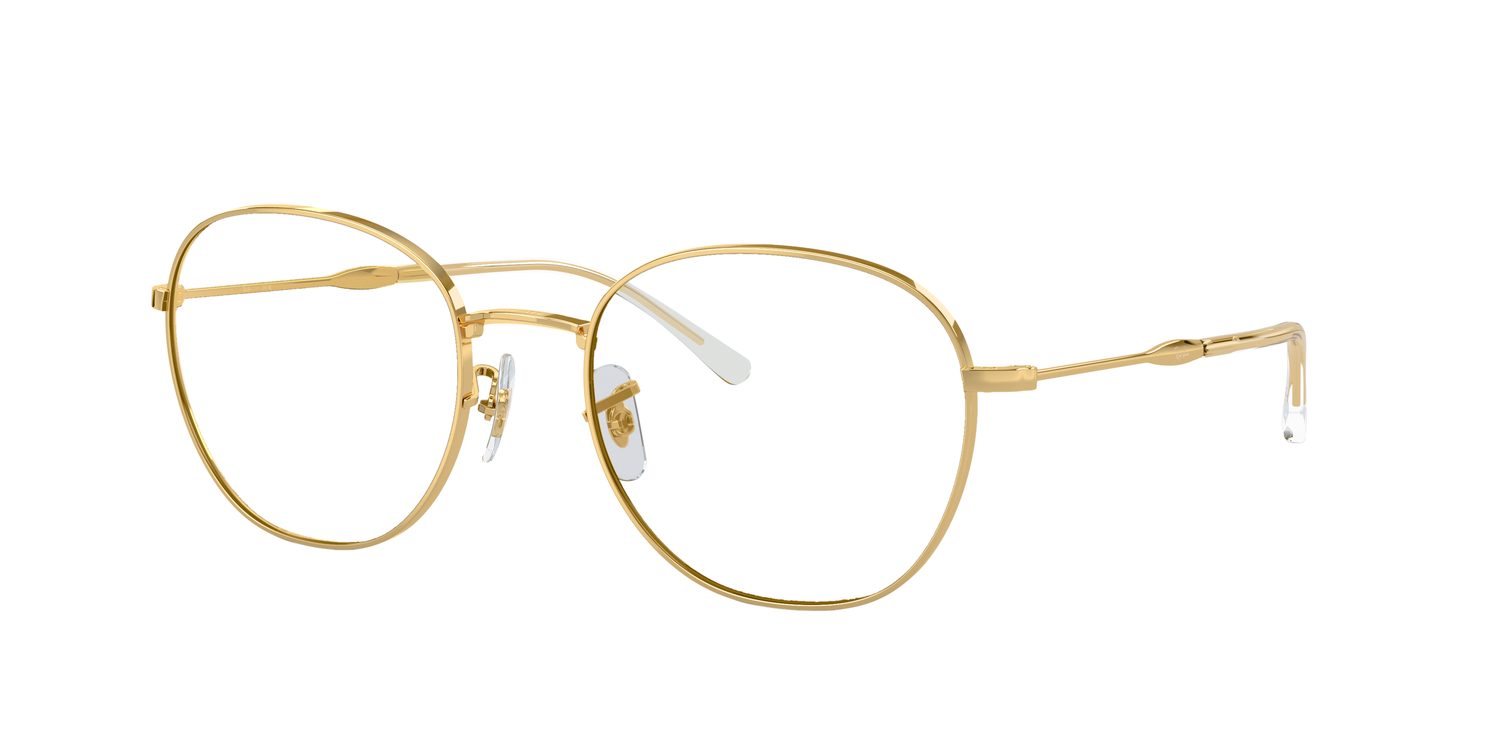 Ray-Ban | 0RB3809