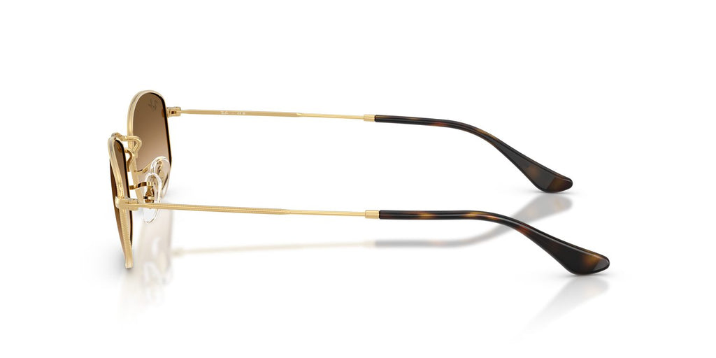 Ray-Ban | 0RB3832