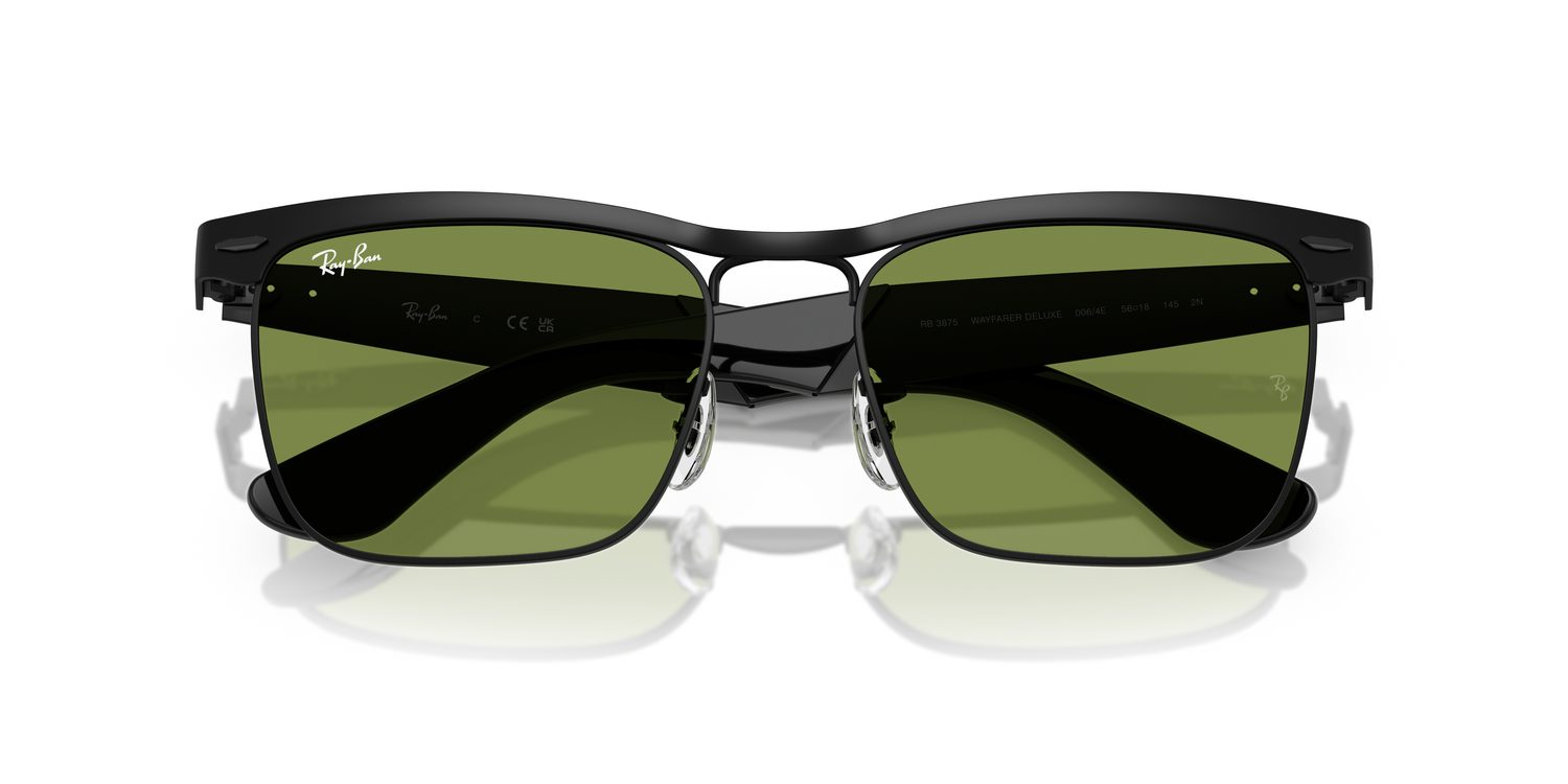 Ray-Ban | 0RB3875