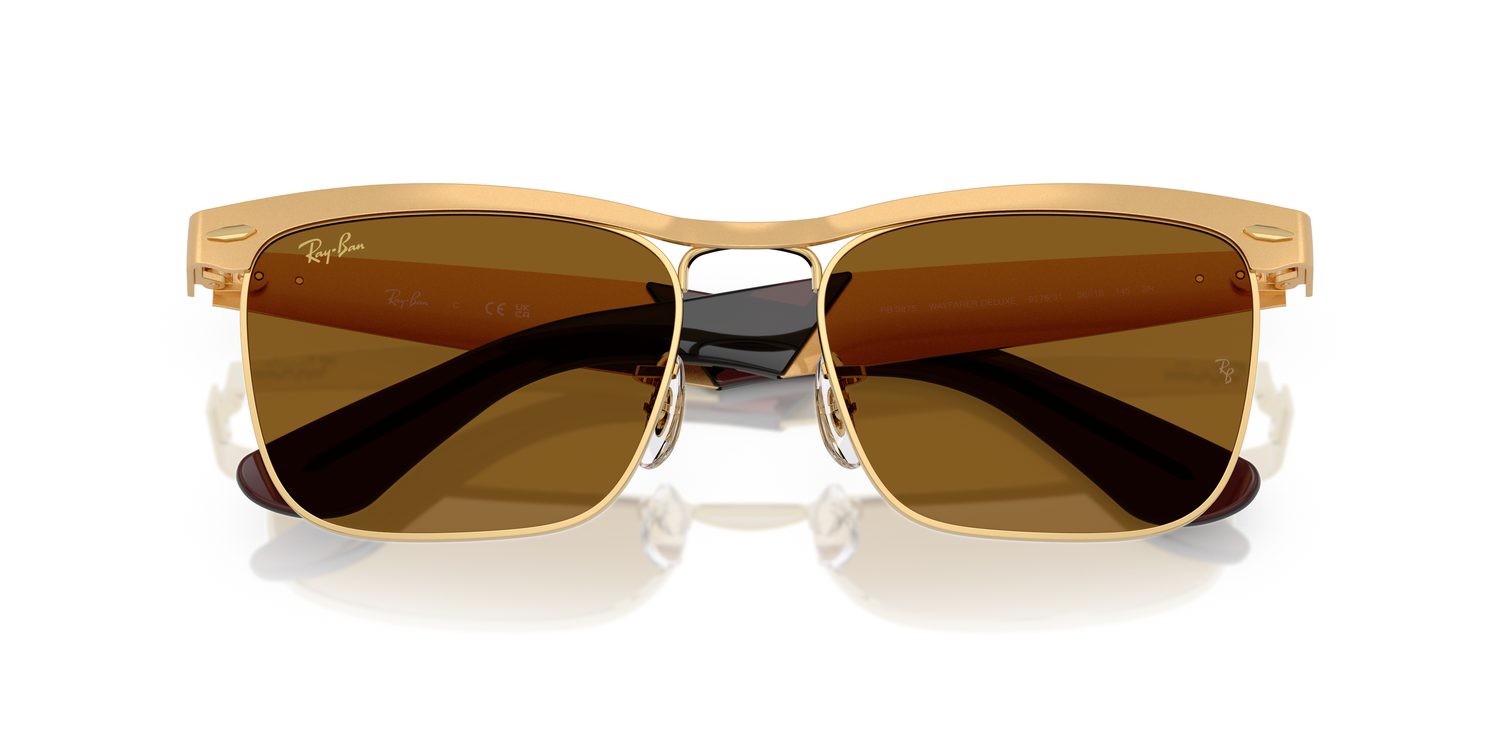 Ray-Ban | 0RB3875