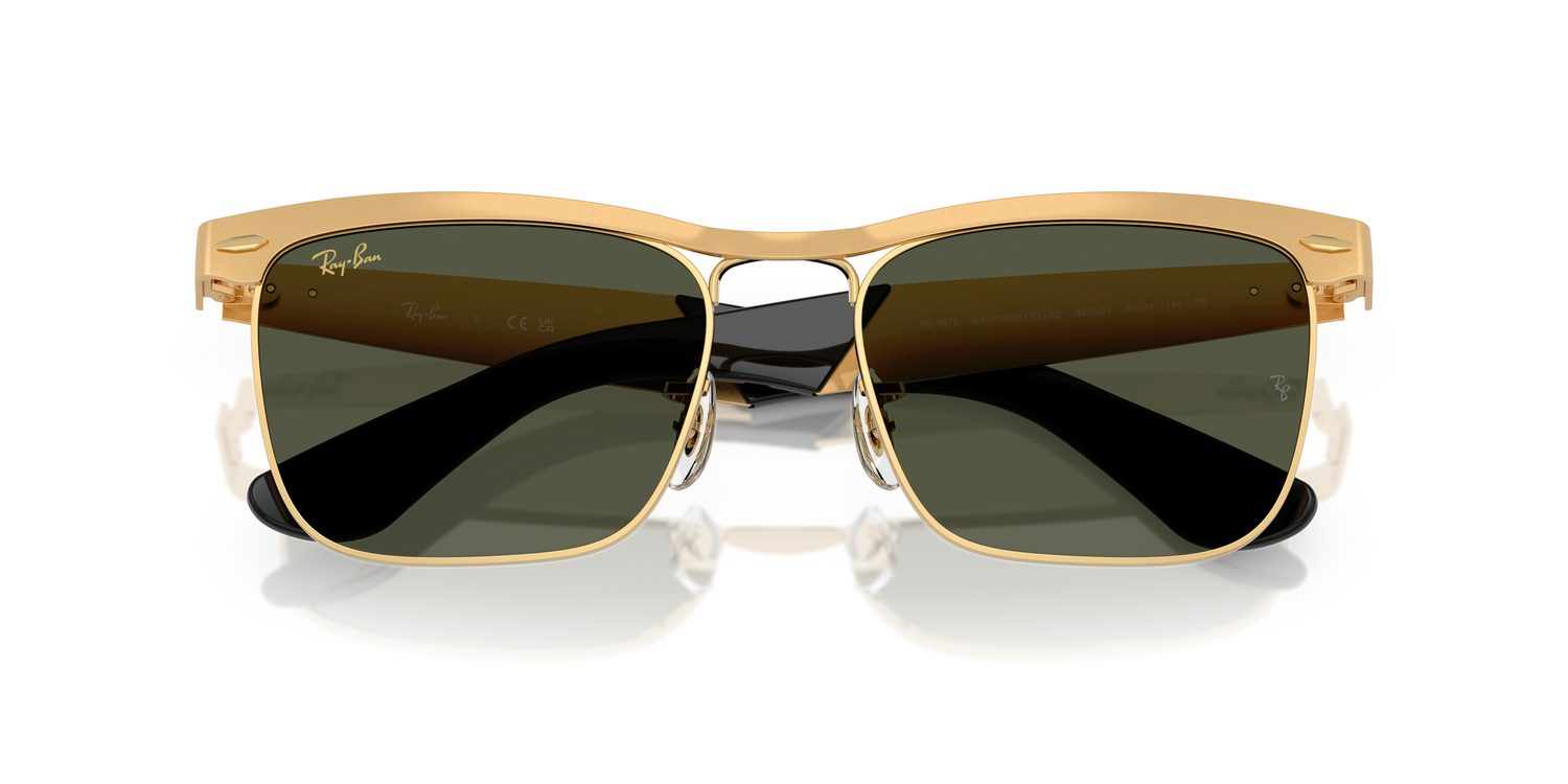 Ray-Ban | 0RB3875
