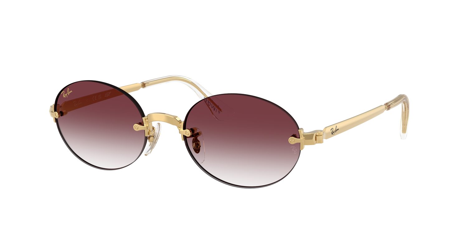 Ray-Ban | 0RB3929
