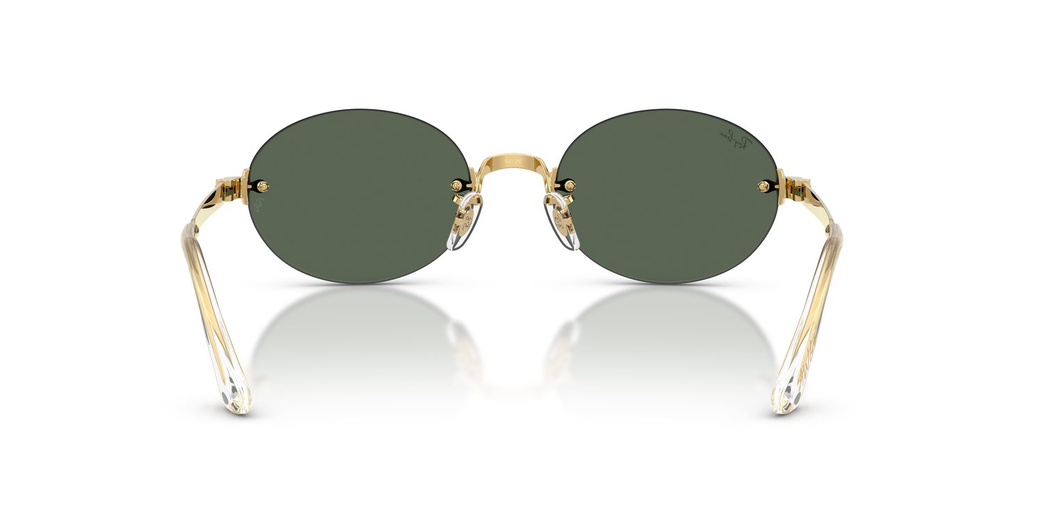 Ray-Ban | 0RB3929