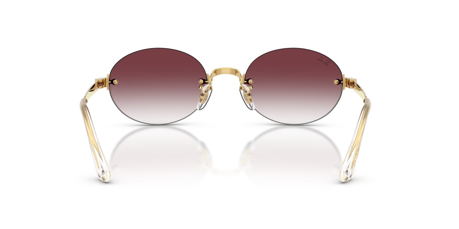 Ray-Ban | 0RB3929
