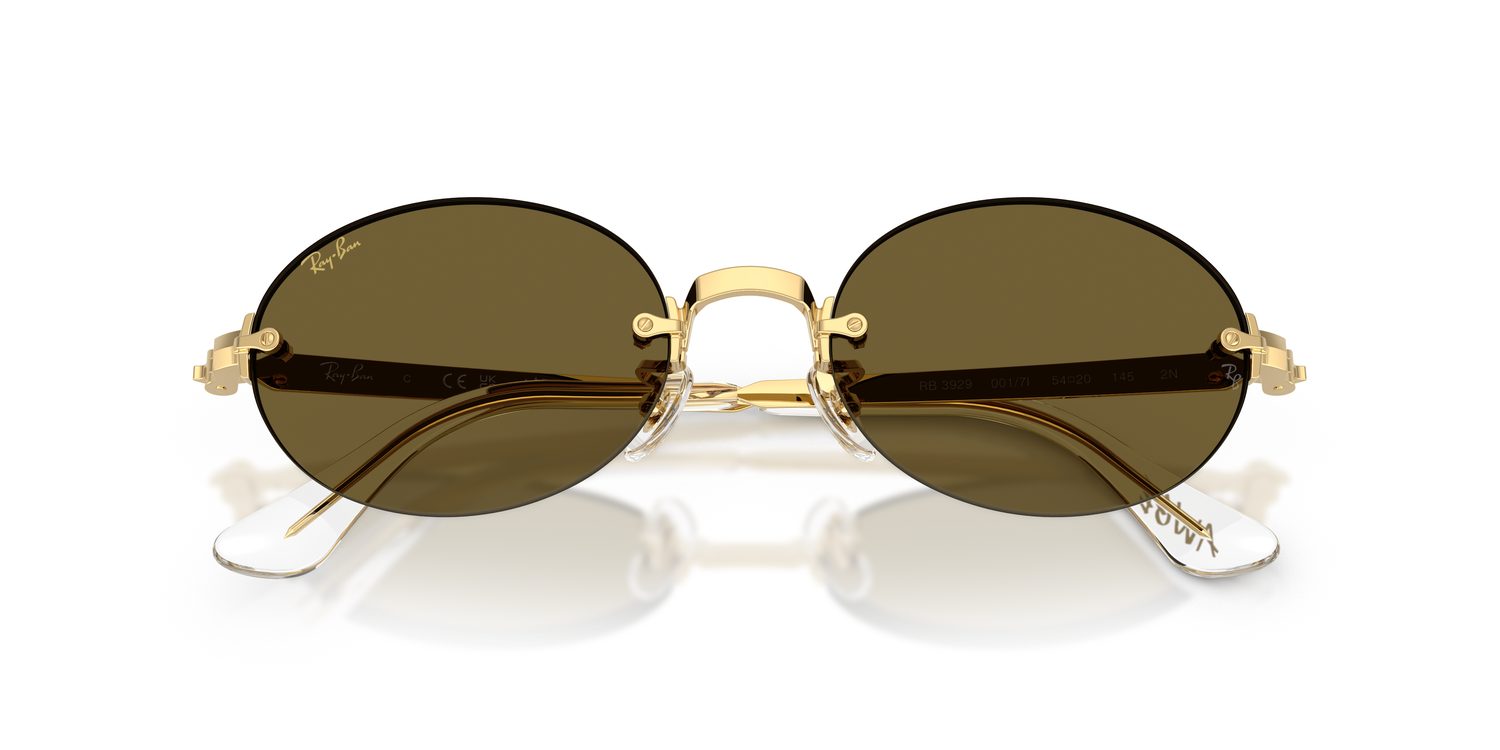 Ray-Ban | 0RB3929