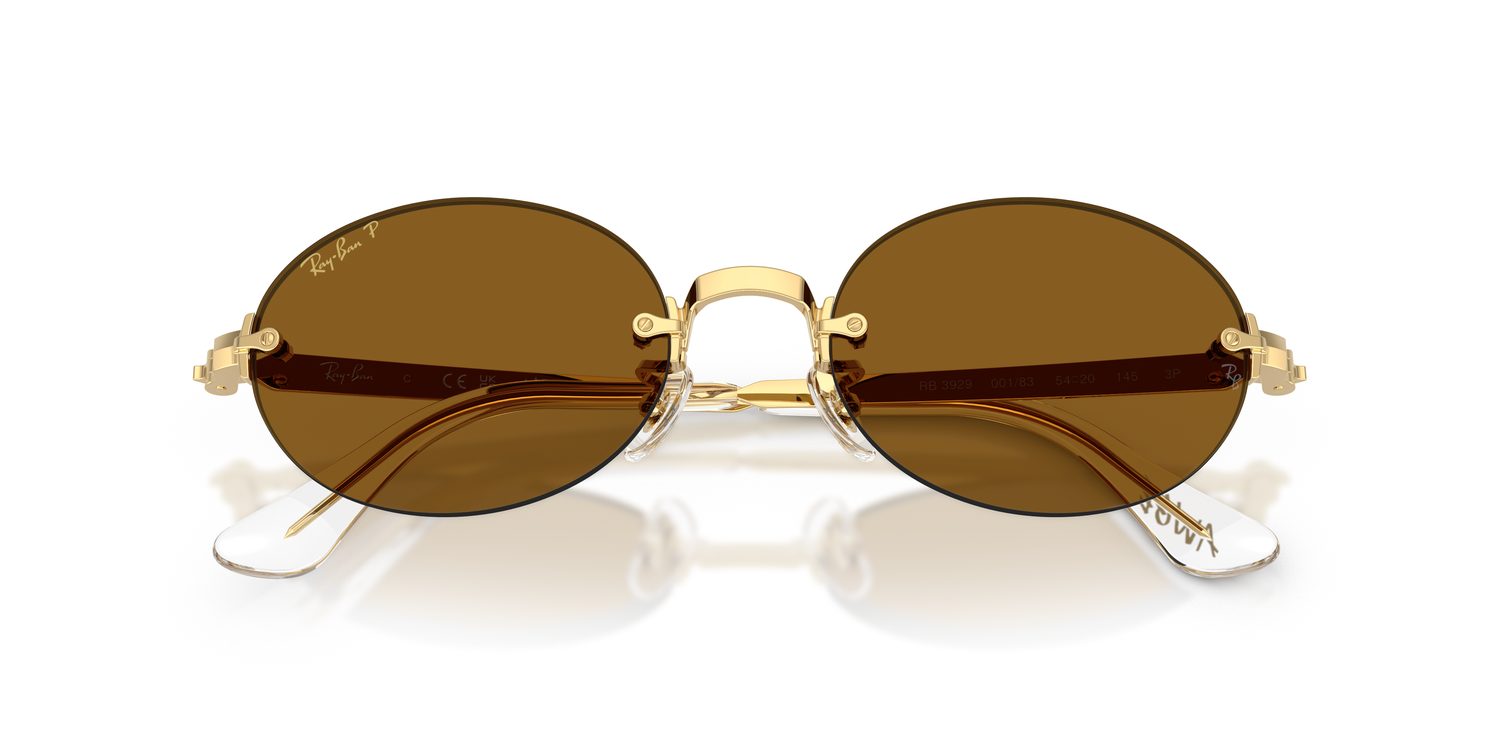 Ray-Ban | 0RB3929