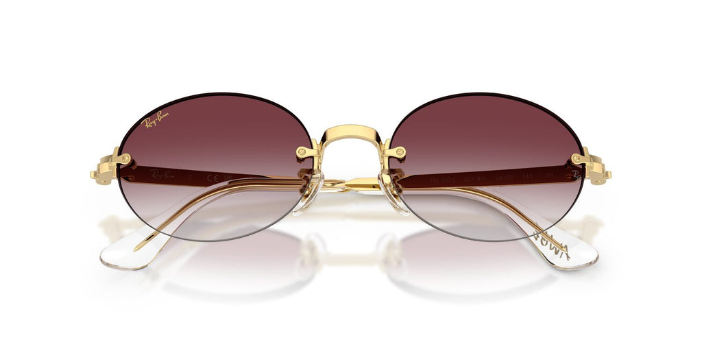 Ray-Ban | 0RB3929