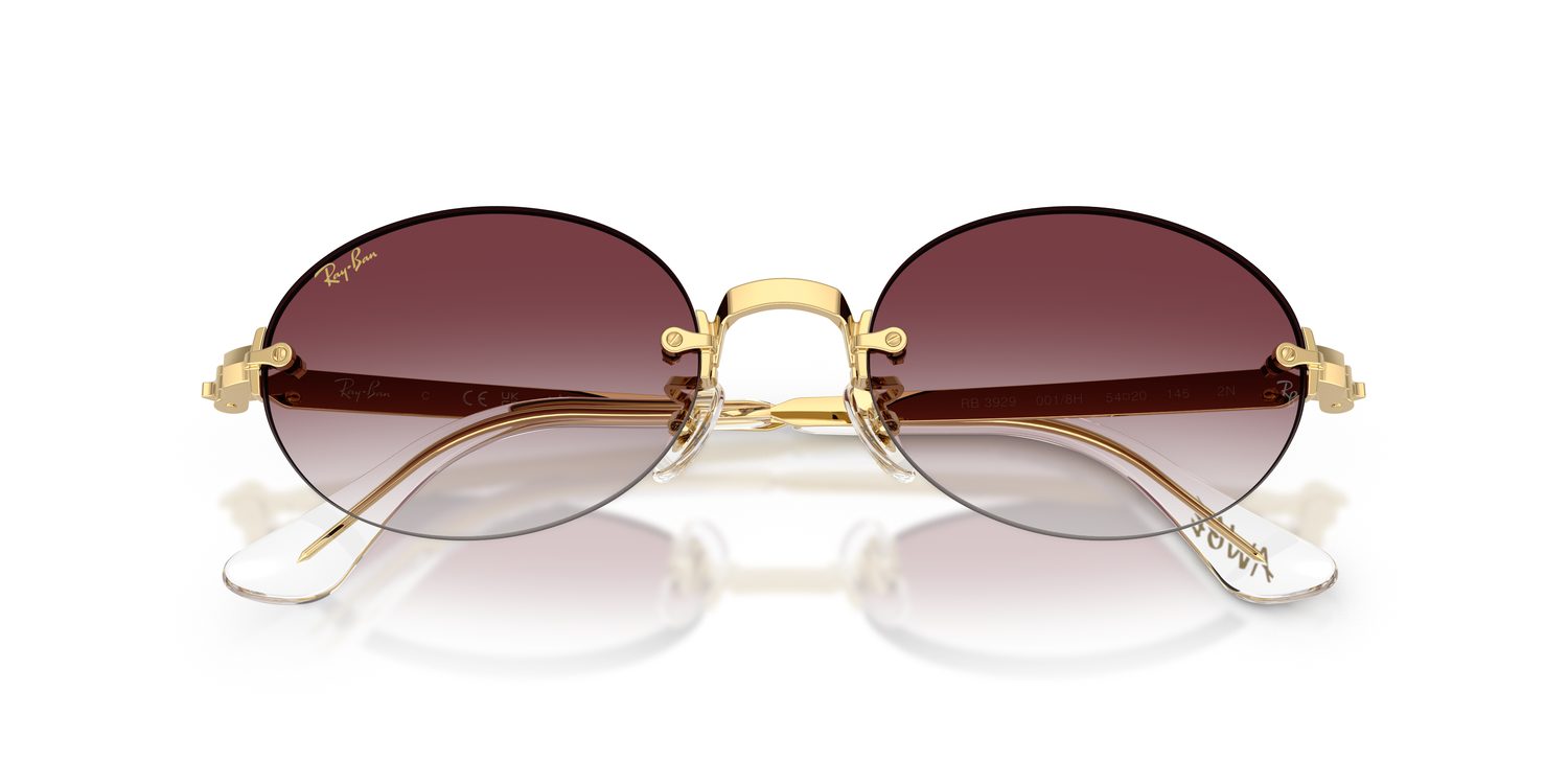 Ray-Ban | 0RB3929