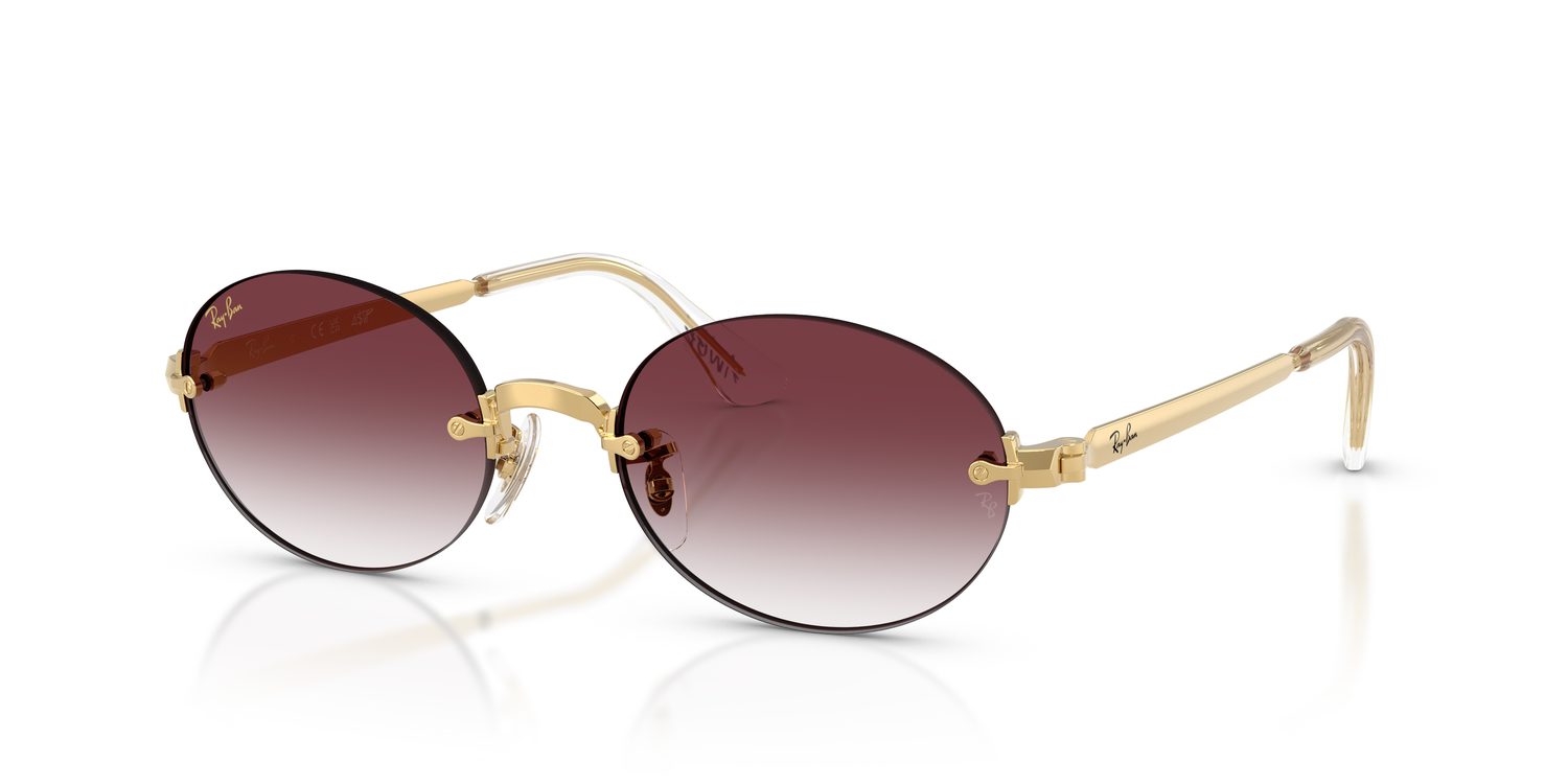 Ray-Ban | 0RB3929