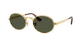 Ray-Ban | 0RB3931