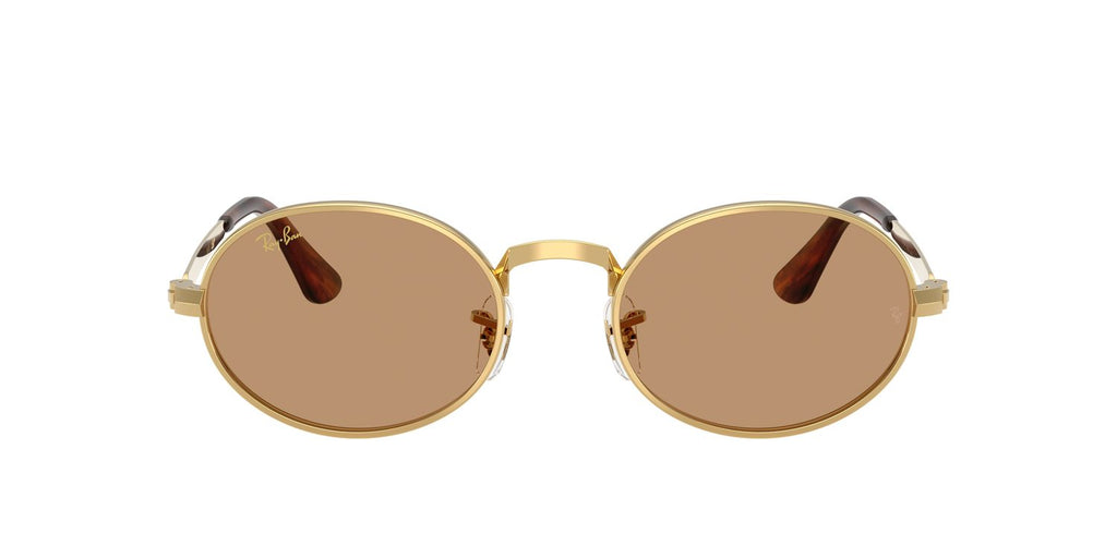 Ray-Ban | 0RB3931