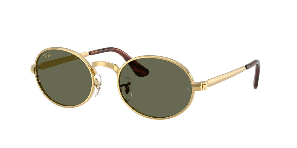 Ray-Ban | 0RB3931