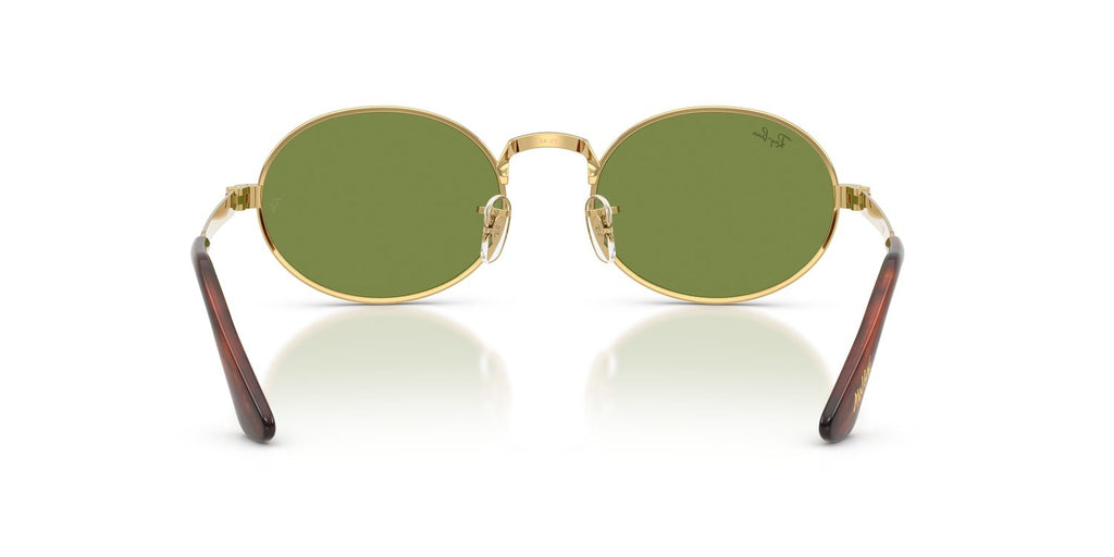 Ray-Ban | 0RB3931