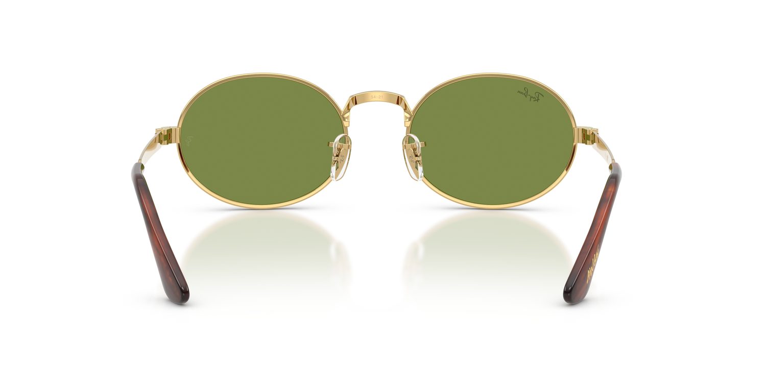 Ray-Ban | 0RB3931
