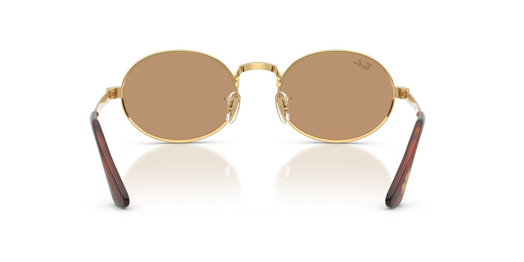 Ray-Ban | 0RB3931