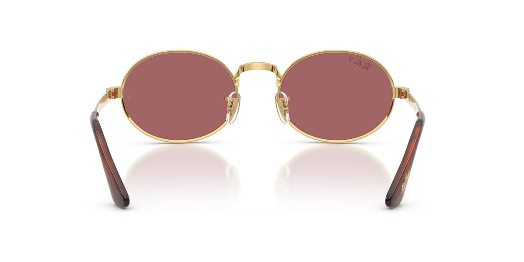 Ray-Ban | 0RB3931