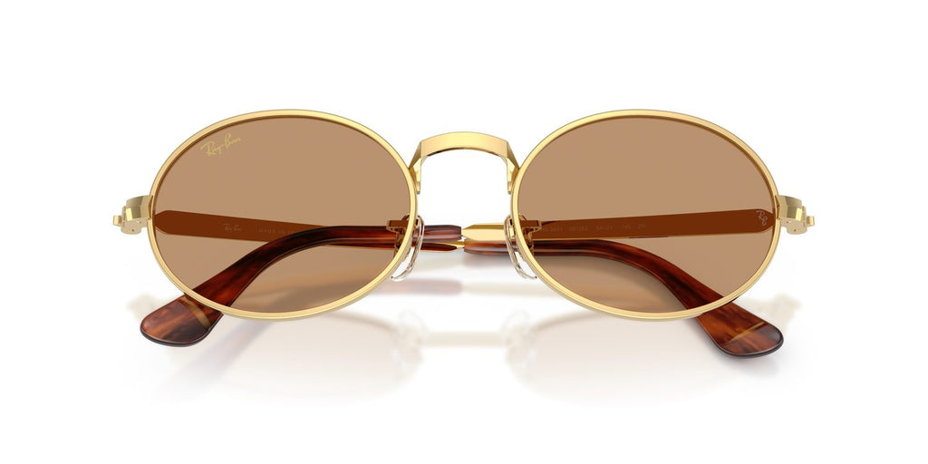 Ray-Ban | 0RB3931