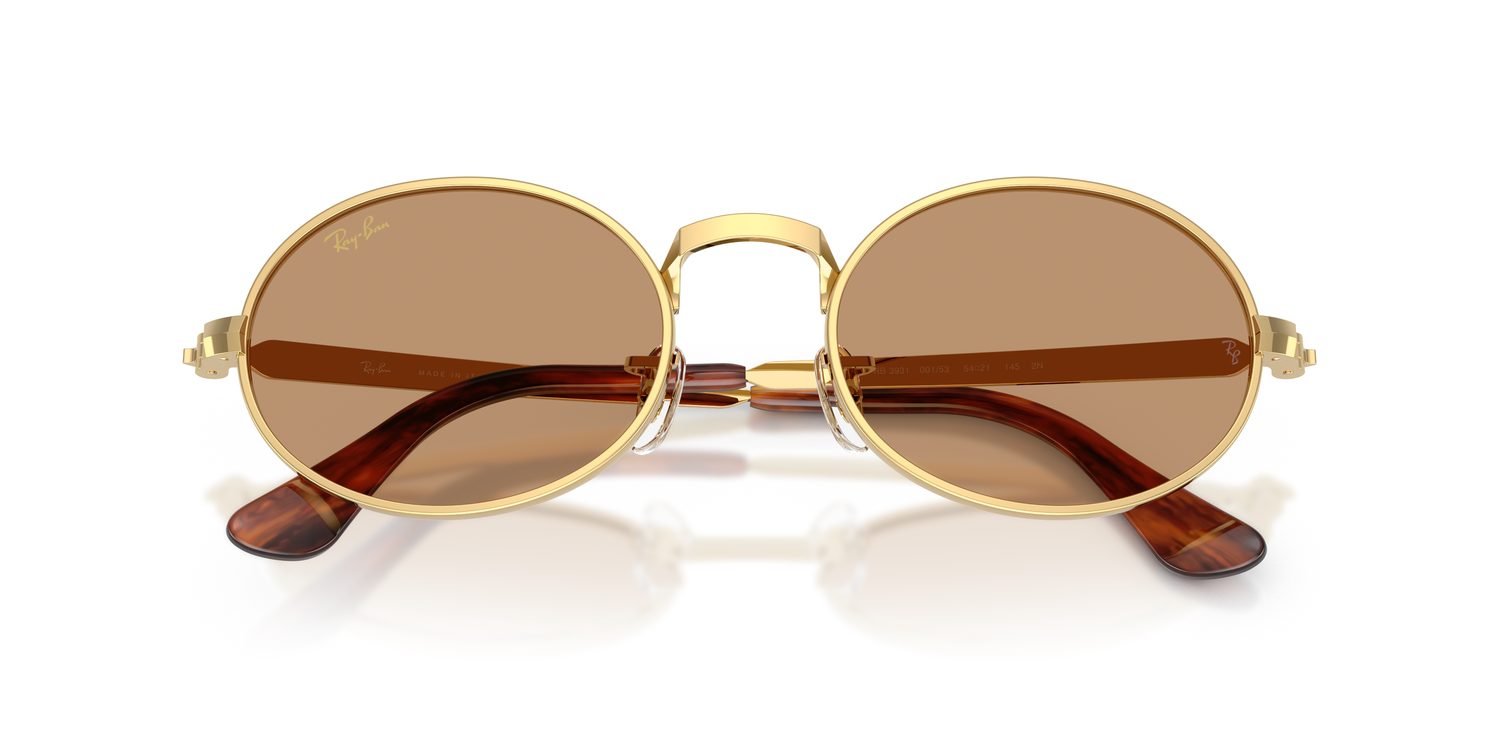 Ray-Ban | 0RB3931
