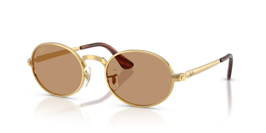Ray-Ban | 0RB3931