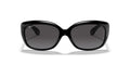 Ray-Ban | 0RB4101