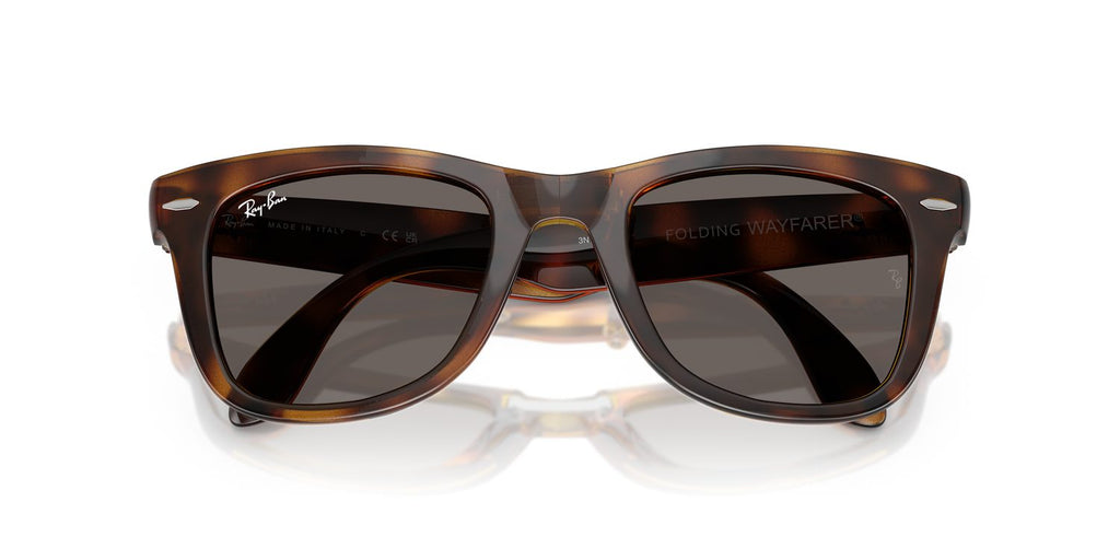 Ray-Ban | 0RB4105