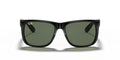 Ray-Ban | 0RB4165