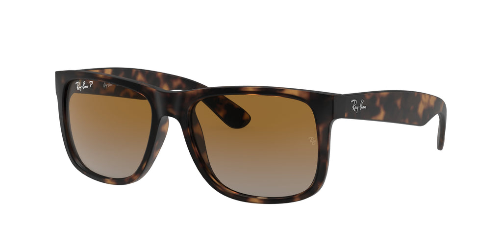 Ray-Ban | 0RB4165