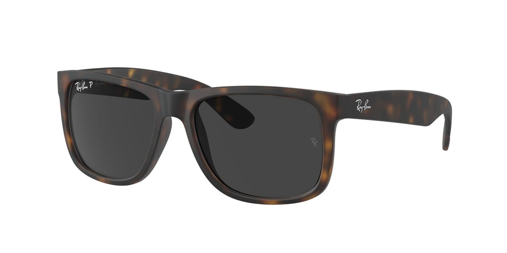Ray-Ban | 0RB4165