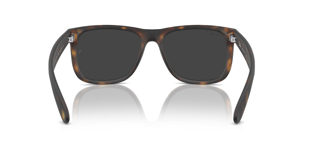 Ray-Ban | 0RB4165