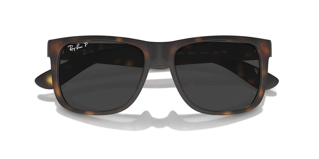 Ray-Ban | 0RB4165