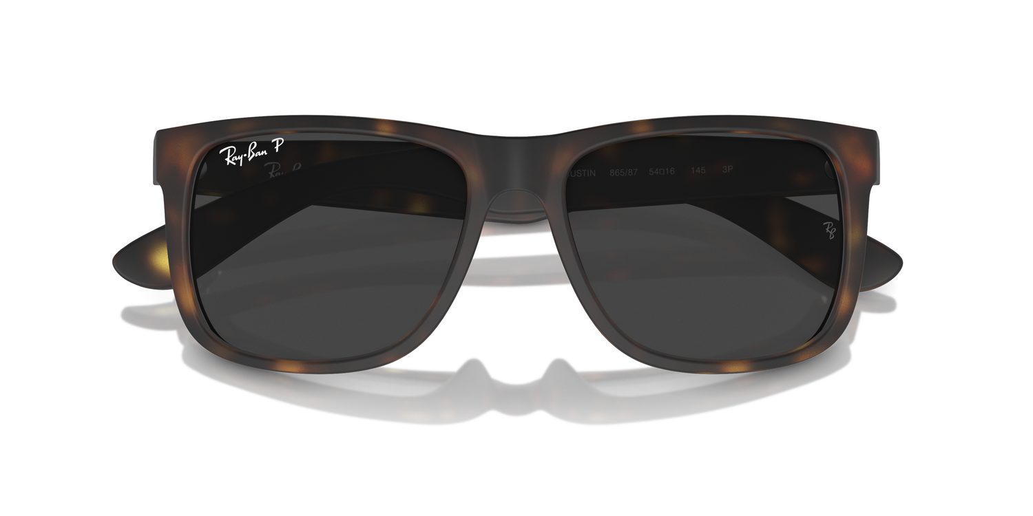 Ray-Ban | 0RB4165