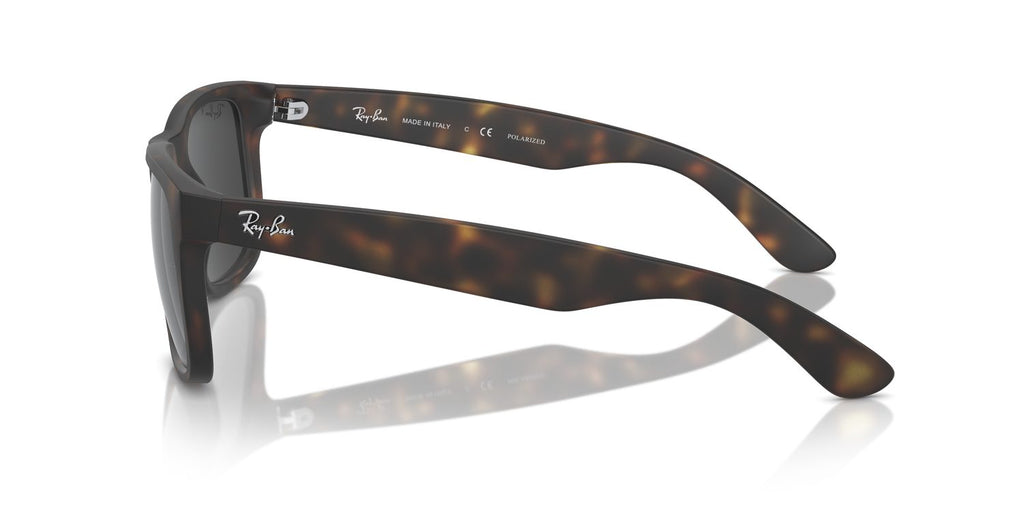 Ray-Ban | 0RB4165