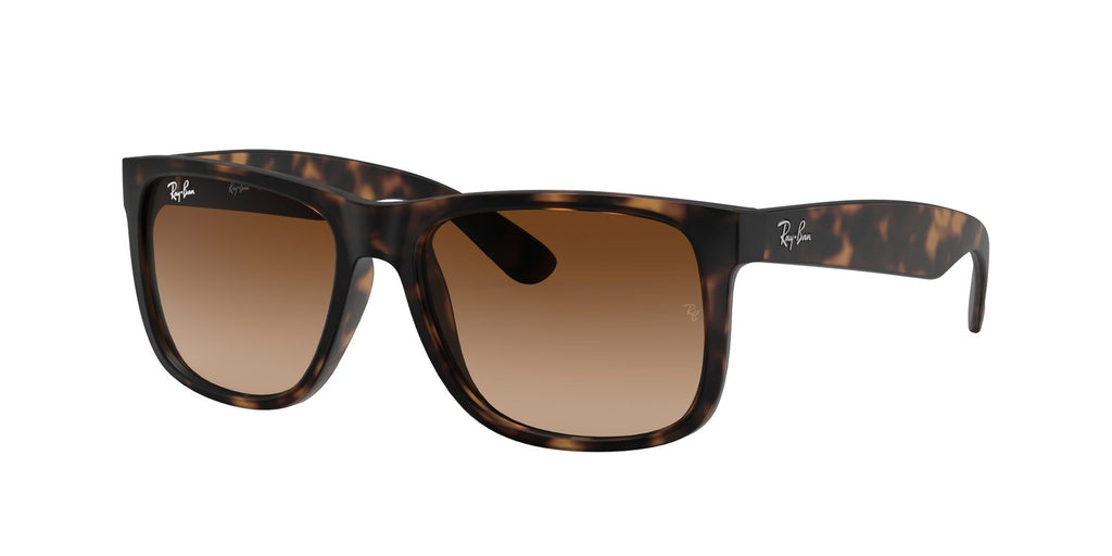 Ray-Ban | 0RB4165