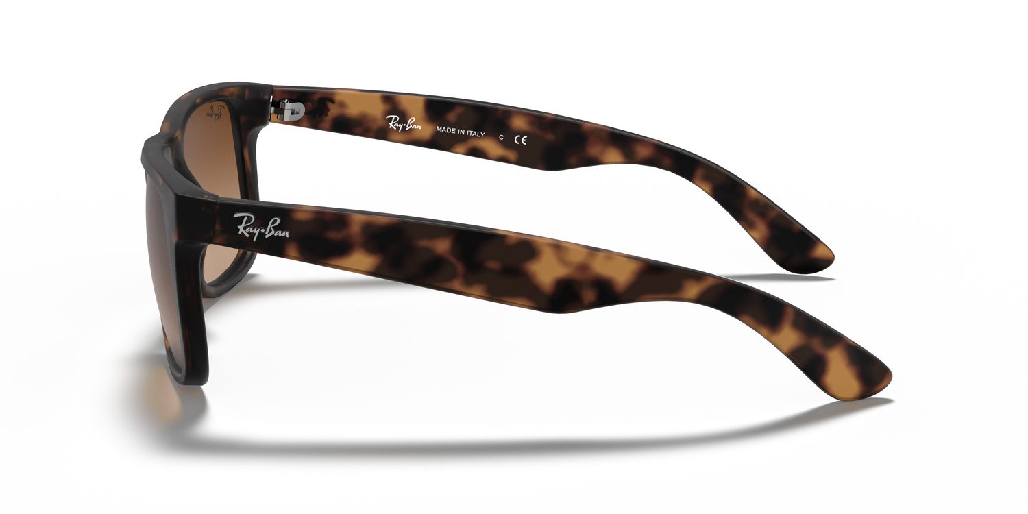 Ray-Ban | 0RB4165