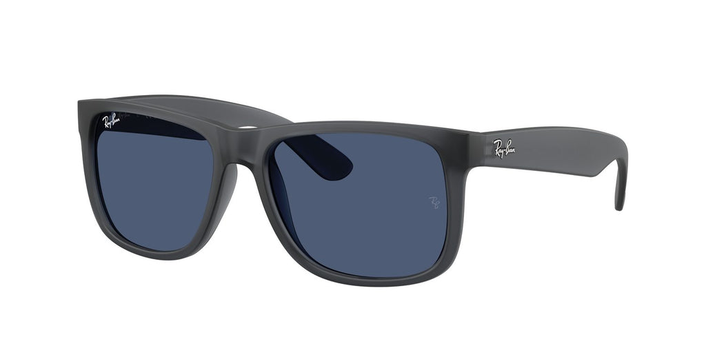 Ray-Ban | 0RB4165