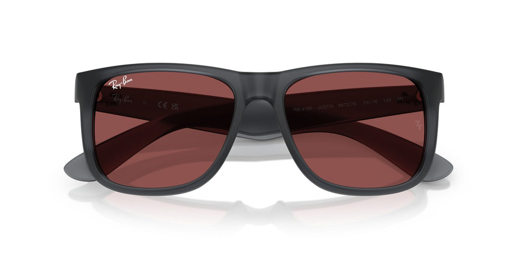 Ray-Ban | 0RB4165