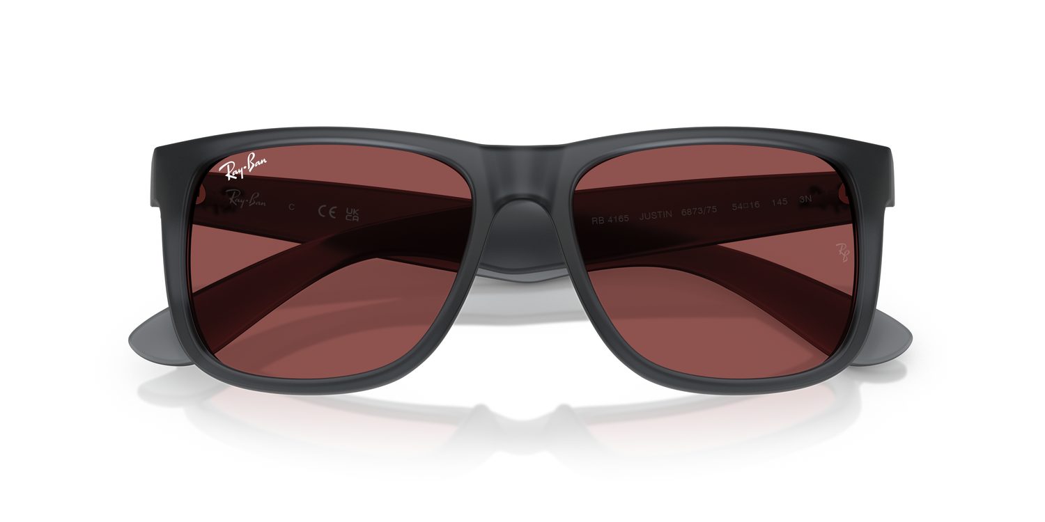 Ray-Ban | 0RB4165