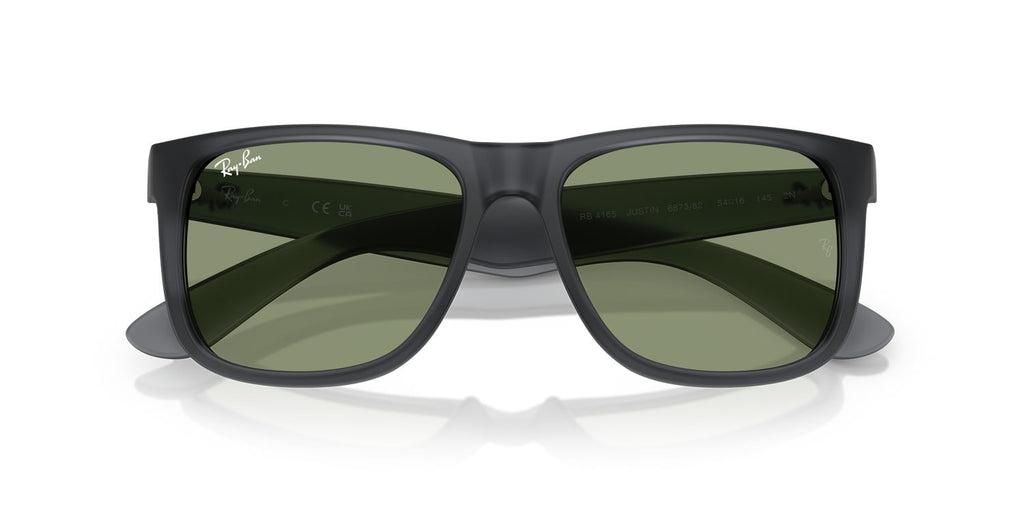 Ray-Ban | 0RB4165