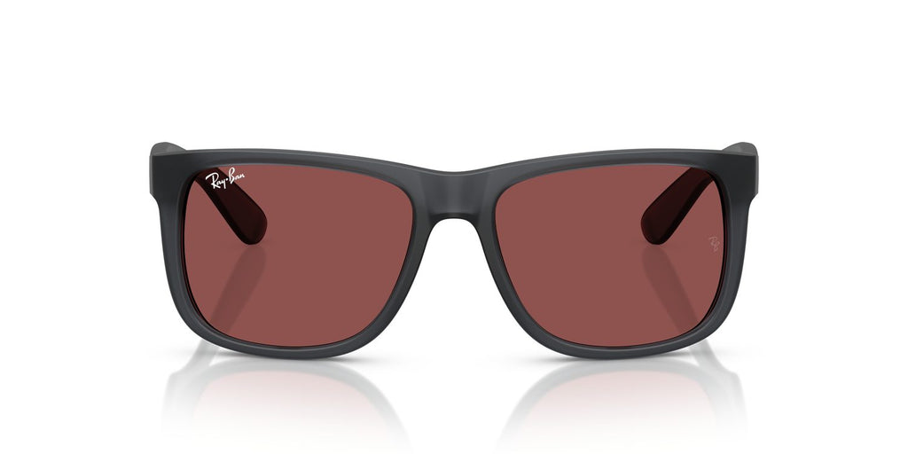 Ray-Ban | 0RB4165