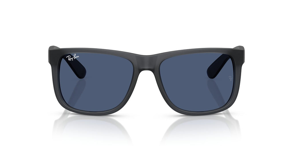 Ray-Ban | 0RB4165