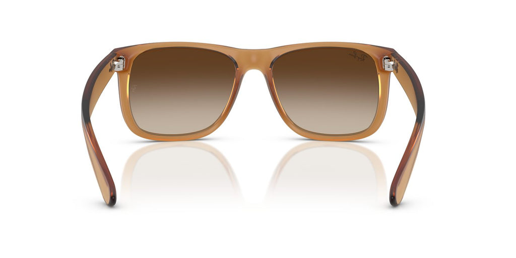 Ray-Ban | 0RB4165