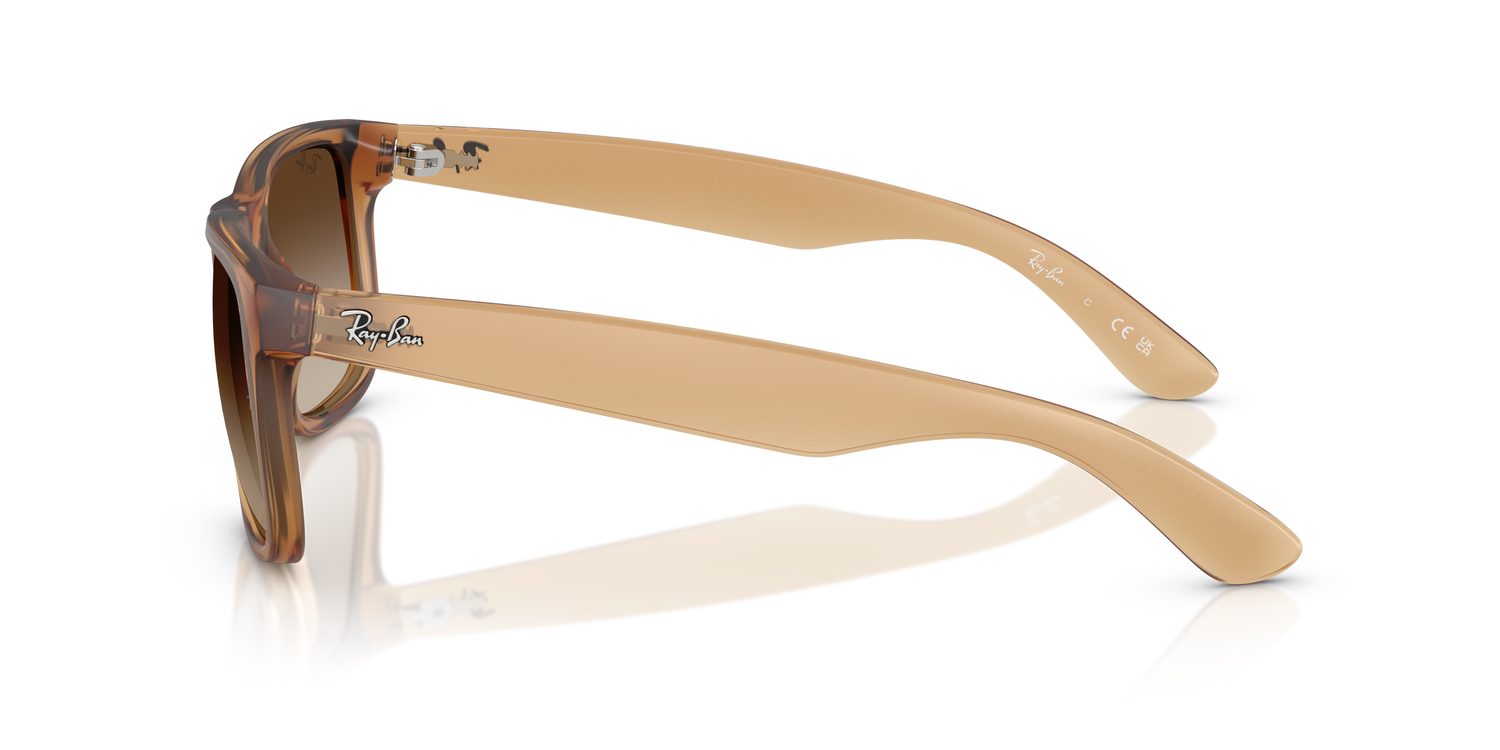 Ray-Ban | 0RB4165